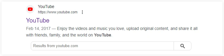 Screenshot of Youtube search result entry with search box